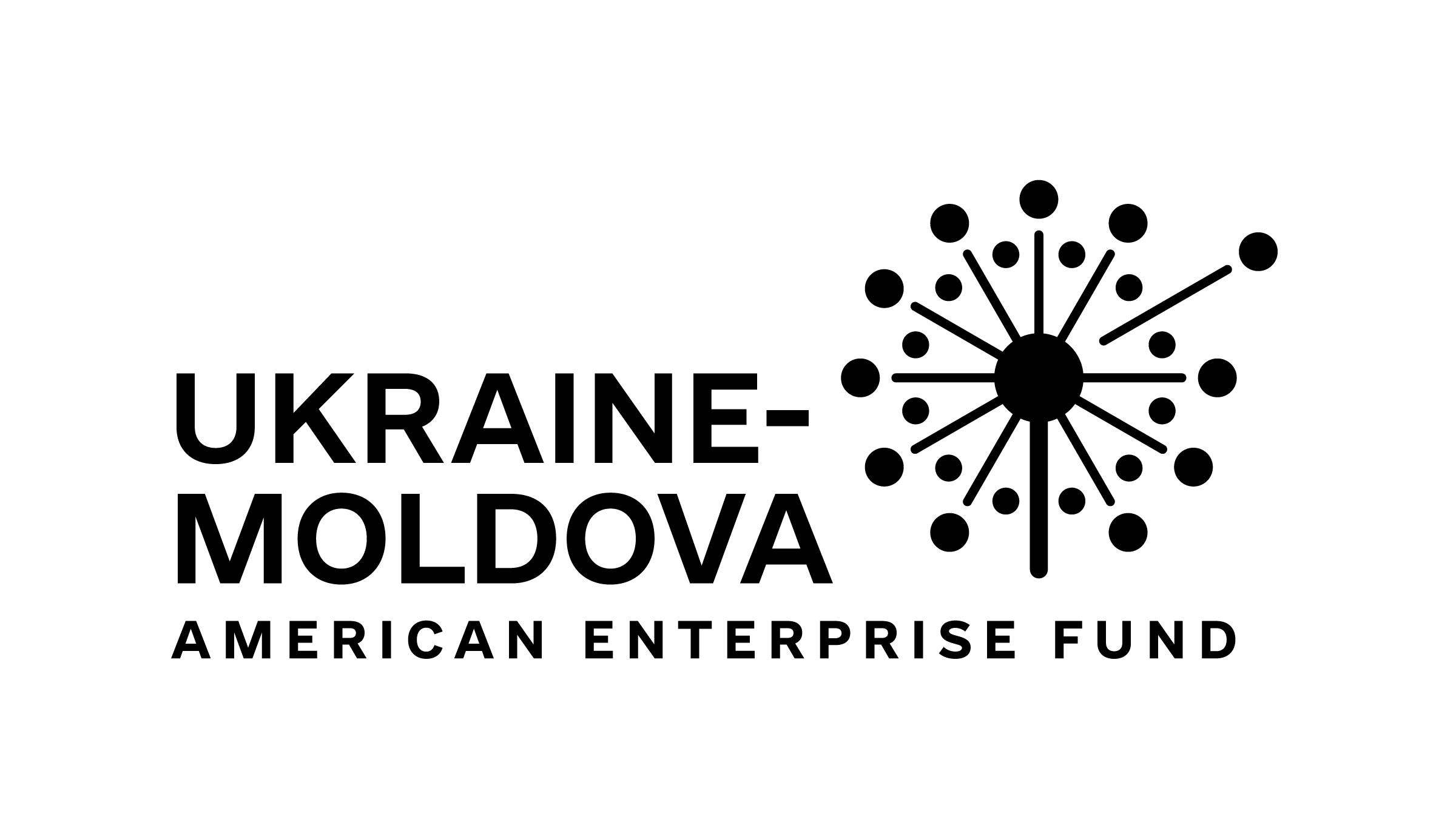 Ukraine Moldova American Enterprise Fund logo